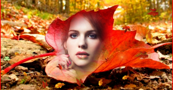 Create Your Beautiful Autumn Leaf Photo!	