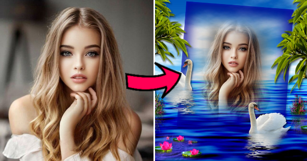 You Are As Beautiful As The Swan. Create Your Stunning Lake Photo!