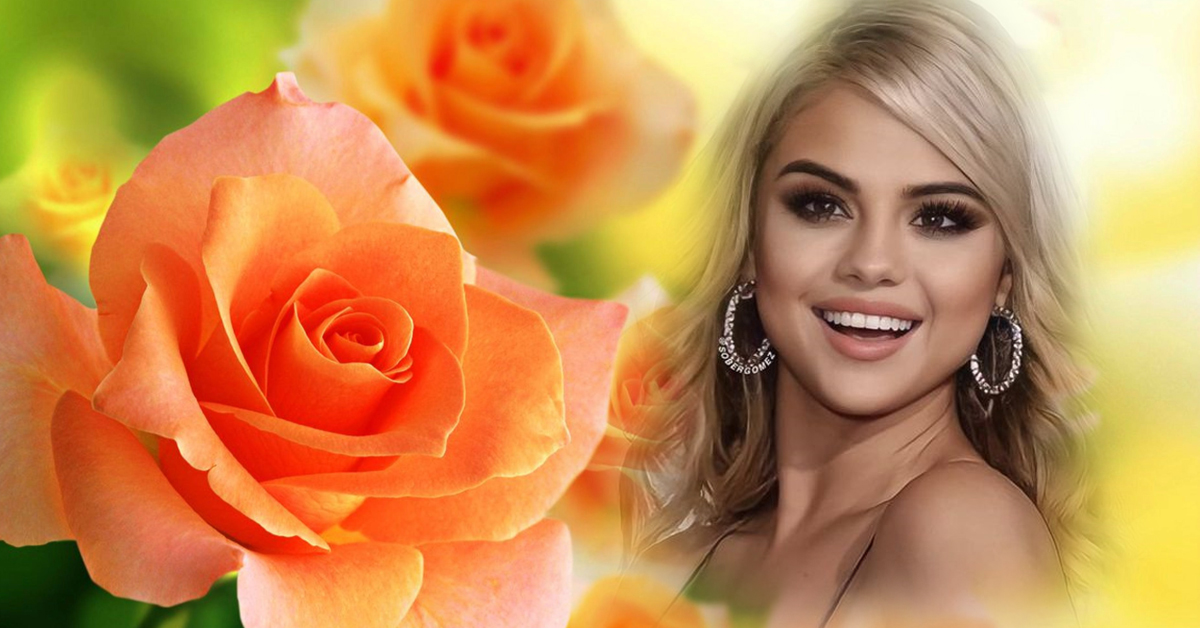 &iexcl;Cree una foto floreciente de la rosa roja!