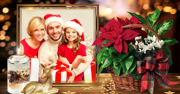 Cheio De Amor! Crie E Compartilhe Sua Melhor Foto De Natal!