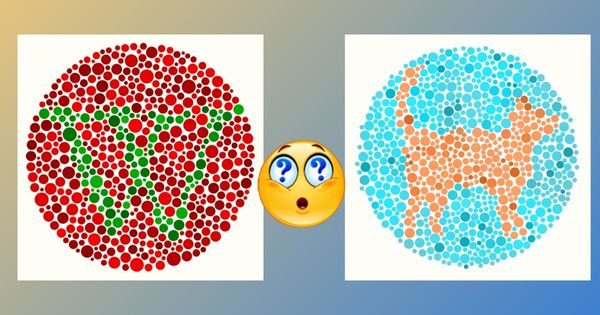 Teste de Daltonismo Voc&ecirc; consegue ver as cores como elas realmente s&atilde;o?