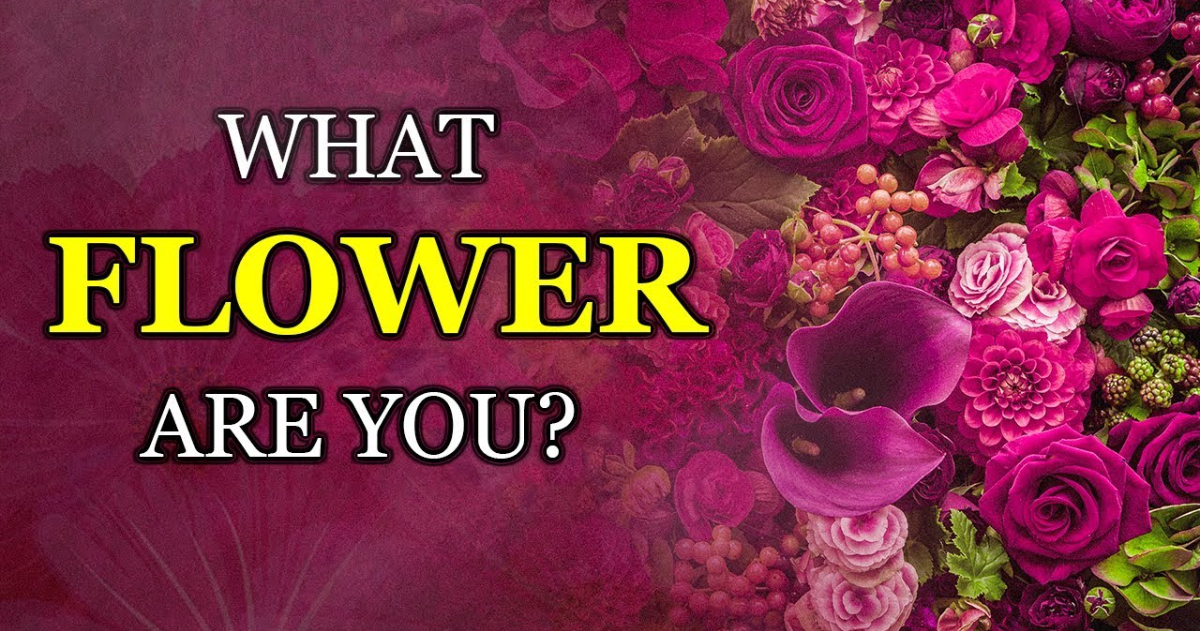 &iquest;Qu&eacute; Flor Combina Con Tu Personalidad?